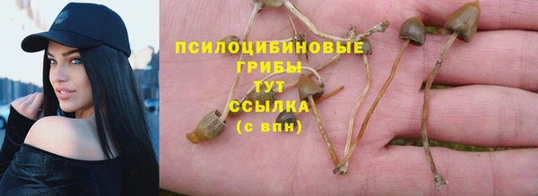 эйфоретик Алзамай
