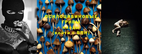прущий лед Алексин