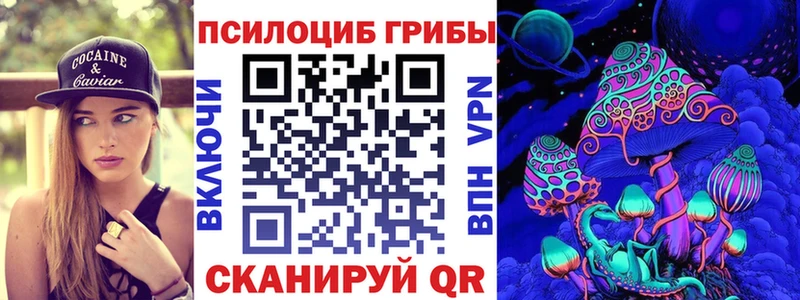 Псилоцибиновые грибы MAGIC MUSHROOMS  где купить наркоту  Дмитриев 